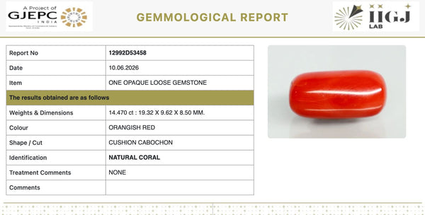 Natural Red Italian Coral |14H50| Cushion Cabochon | Govt. Lab Certified | Report No. 12992D53458
