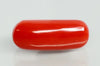 Natural Red Italian Coral |14H50| Cylindrical Specimen | Govt. Lab Certified | Report No. 12992D53459