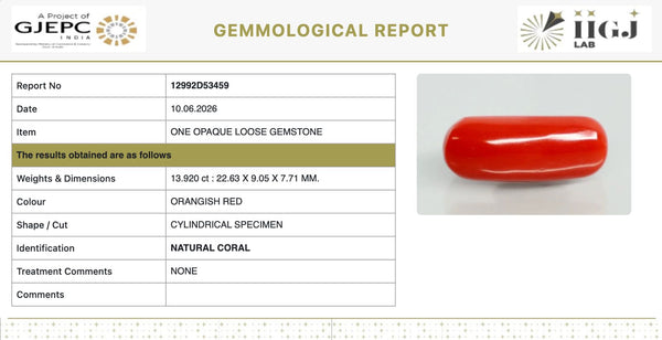 Natural Red Italian Coral |14H50| Cylindrical Specimen | Govt. Lab Certified | Report No. 12992D53459