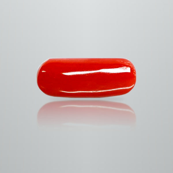 Natural Italian Red Coral (Moonga) cylindrical specimen, report no. 12992D53459