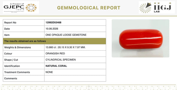 Natural Red Italian Coral |14H50| Cylindrical Specimen | Govt. Lab Certified | Report No. 12992D53468