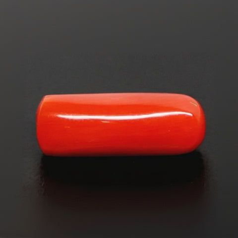Natural Red Italian Coral |5H50| Cylindrical Specimen | Govt. Lab Certified | Report No. 12993D53473