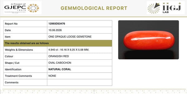 Natural Red Italian Coral |5H50| Oval Cabochon | Govt. Lab Certified | Report No. 12993D53476