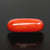 Natural Red Italian Coral |5H50| Oval Cabochon | Govt. Lab Certified | Report No. 12993D53476