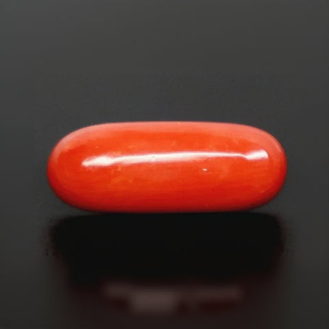Natural Red Italian Coral |5H50| Oval Cabochon | Govt. Lab Certified | Report No. 12993D53476