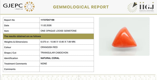 Natural Red Italian Coral | Triangular Cabochon | Govt. Lab Certified | Report No. 11737D47199