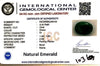 Natural Emerald | OvalCut | Govt. Lab Certified No. IGCDKBAJ46104 image 2