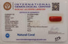Natural Red Coral | Certified |Capsule Cut Gemstone Summary No. IGCDKBAJ44969 image 2