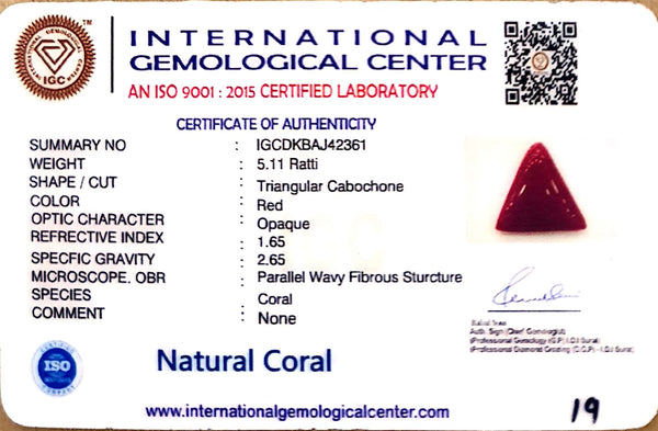 Natural Italian Red Coral | Certified Triangular Cabochon Moonga | Untreated Gemstone IGCDKBAJ42361 image 1
