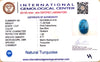 Natural Turquoise | Certified | Oval Cabochon | Sea BlueCertificate No.: IGCDKBAJ41418 image 2