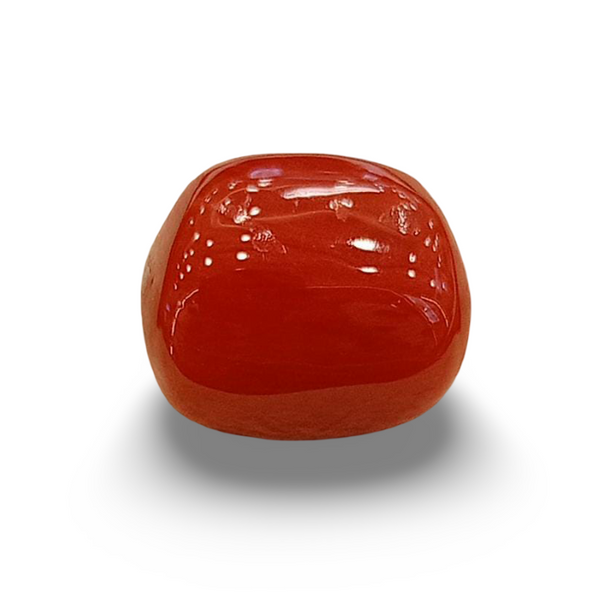 Natural Red Coral | Certified | Oval Cut Gemstone Summary No. IGCDKBAJ57876 image 0