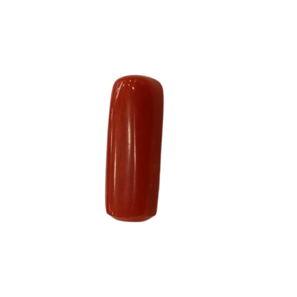 Natural Red Coral | Certified |Capsule Cut Gemstone Summary No. IGCDKBAJ44964 image 1