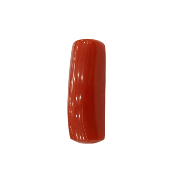 NaturalRed Coral | Certified| Capsule CutGemstone Summary No. IGCDKBAJ44959 image 1