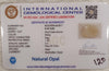 Natural White Opal 9.50 Ratti| Oval Cabochone| Certified No. IGCDKBAJ42917 image 2