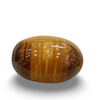 Tiger Eye The Essence of Grounding and Strength Summary No IGCDKBAJ44752 image 0
