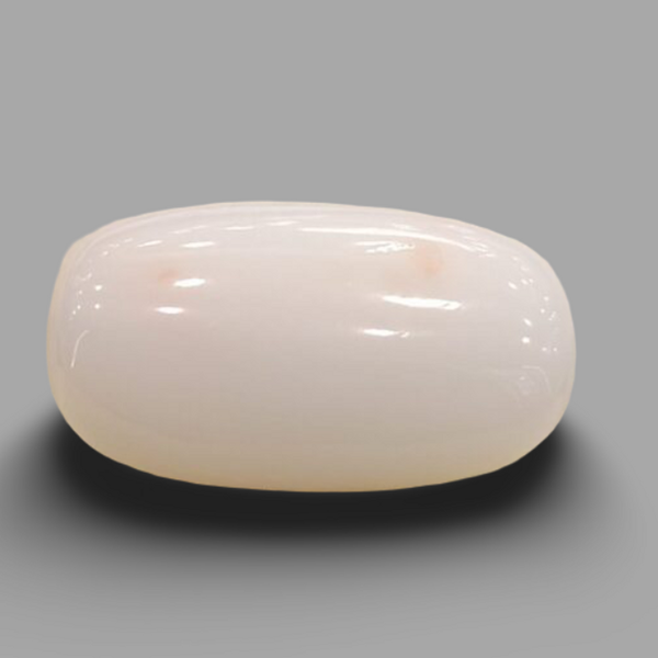 Natural White Coral (Safed Moonga) certified loose gemstone, report no. IGCDKBAJ41491