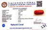 NaturalRed Coral | Certified| Oval CutGemstone Summary No. IGCDKBAJ44887 image 2