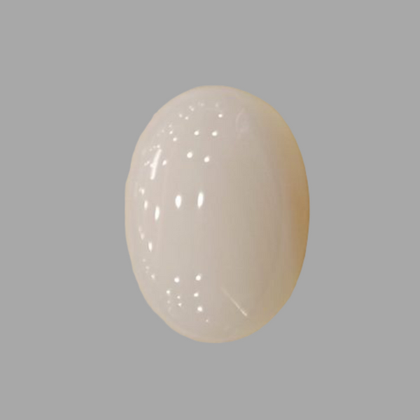 Natural White Coral: The Symbol of Peace and Strength Summary No IGCDKBAJ41529 image 1