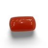 NaturalRed Coral | Certified| Oval CutGemstone Summary No. IGCDKBAJ44915 image 0