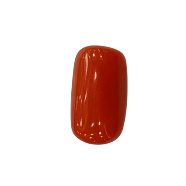 Natural Red Coral | Certified |Capsule Cut Gemstone Summary No. IGCDKBAJ44905 image 1