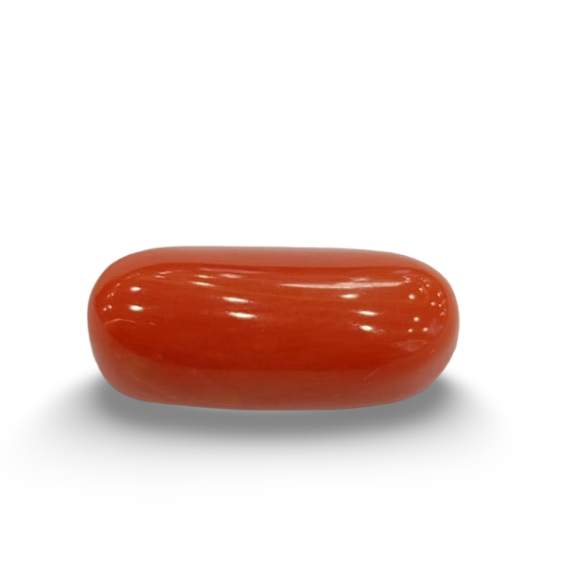 NaturalRed Coral | Certified| Oval CutGemstone Summary No. IGCDKBAJ44931 image 0