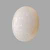 Natural White Coral: The Symbol of Peace and Strength Summary No IGCDKBAJ41515 image 1