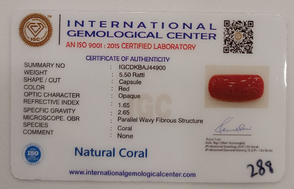 NaturalRed Coral | Certified| Capsule CutGemstone Summary No. IGCDKBAJ44900 image 2