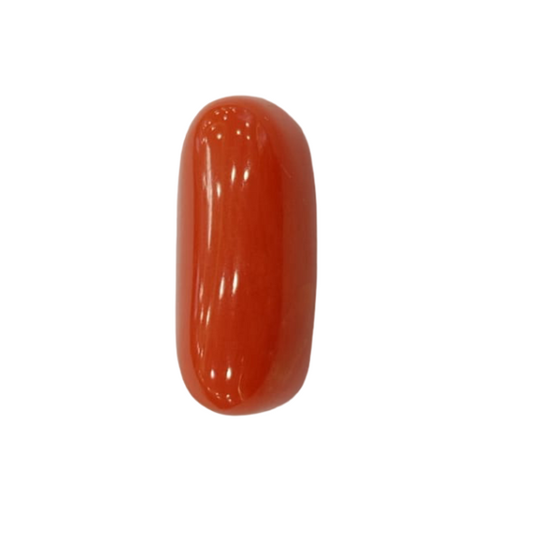 NaturalRed Coral | Certified| Oval CutGemstone Summary No. IGCDKBAJ44931 image 1