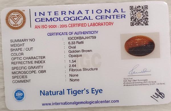 Tiger Eye The Essence of Grounding and Strength Summary No IGCDKBAJ44759 image 2