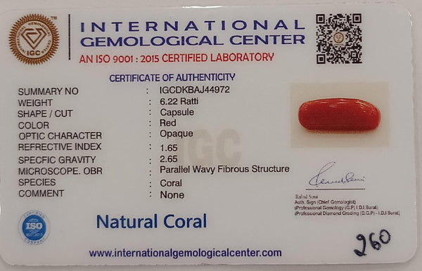 Natural Red Coral | Certified |Capsule Cut Gemstone Summary No. IGCDKBAJ44972 image 2