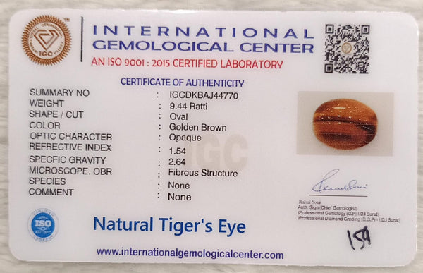 Tiger Eye The Essence of Grounding and Strength Summary No IGCDKBAJ44770 image 2