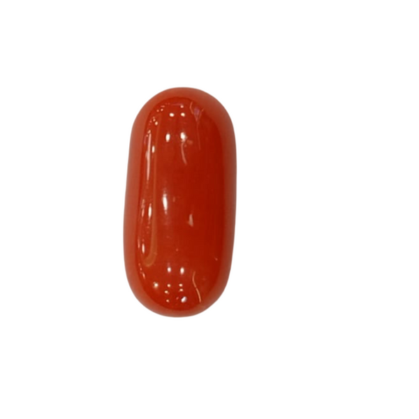 NaturalRed Coral | Certified| Oval CutGemstone Summary No. IGCDKBAJ44932 image 1
