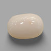 Natural White Coral (Safed Moonga) certified loose gemstone, report no. IGCDKBAJ41520