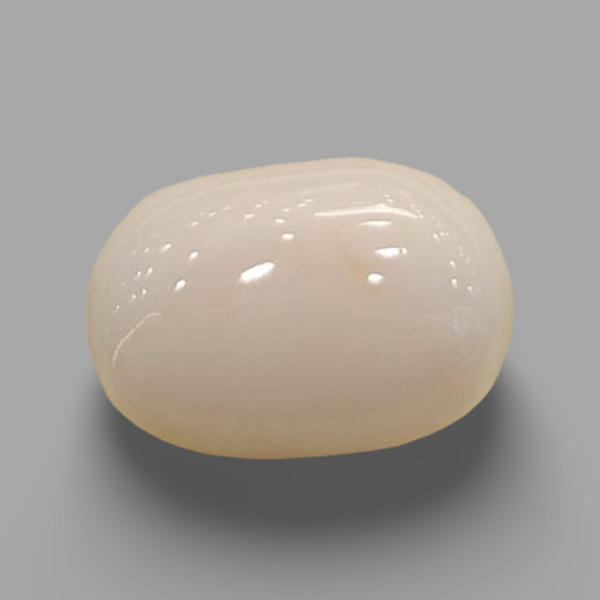 Natural White Coral (Safed Moonga) certified loose gemstone, report no. IGCDKBAJ41520