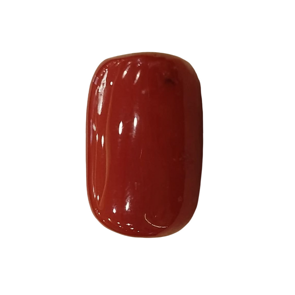 Natural Red Coral | Certified | Oval Cut Gemstone Summary No. IGCDKBAJ57874 image 1