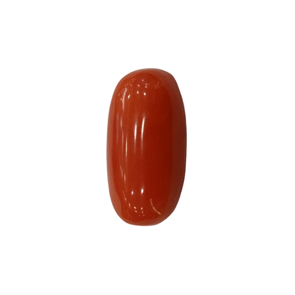 Natural Red Coral | Certified |Oval Cut Gemstone Summary No. IGCDKBAJ44991 image 1