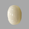 Natural White Coral: A Gemstone of Purity and Strength Summary No IGCDKBAJ41495 image 1