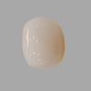 Natural White Coral: The Symbol of Peace and Strength Summary No IGCDKBAJ44678 image 1