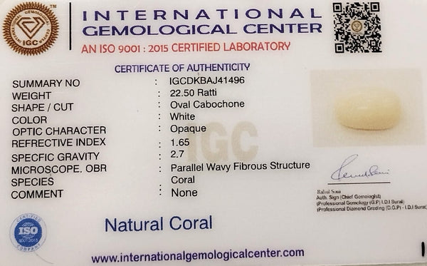 Natural White Coral: A Gem of Purity and Strength Summary No IGCDKBAJ41496 image 2
