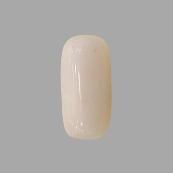 Natural White Coral: The Symbol of Peace and Strength Summary No IGCDKBAJ41487 image 1