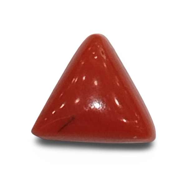 Natural Italian Red Coral (Moonga) triangular cabochon, untreated, certified IGCDKBAJ42443