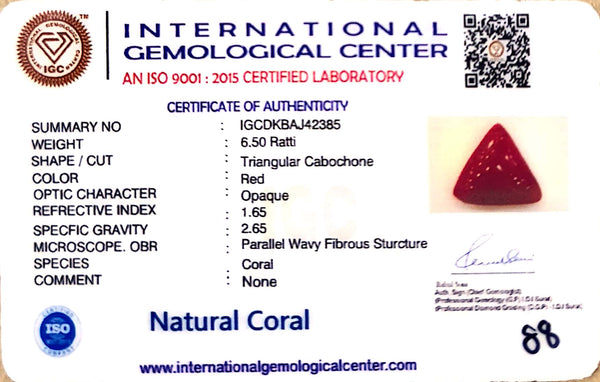 Natural Italian Red Coral | Certified Triangular Cabochon Moonga | Untreated Gemstone IGCDKBAJ42385 image 1