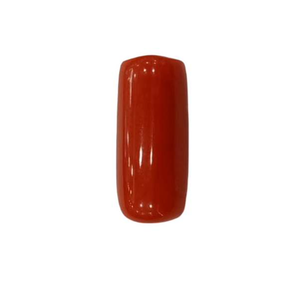 NaturalRed Coral | Certified|Capsule CutGemstone Summary No. IGCDKBAJ44957 image 1