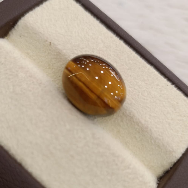 Tiger Eye The Essence of Grounding and Strength Summary No IGCDKBAJ44770 image 1