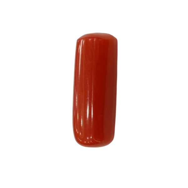 NaturalRed Coral | Certified| Capsule CutGemstone Summary No. IGCDKBAJ44922 image 1