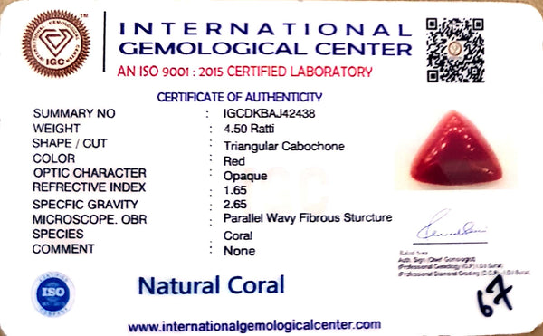 Natural Italian Red Coral | Certified Triangular Cabochon Moonga | Untreated Gemstone IGCDKBAJ42438 image 1