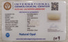 Natural White Opal 5.50 Ratti| Oval Cabochone | Certified No. IGCDKBAJ43015 image 2
