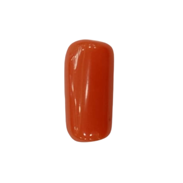 NaturalRed Coral | Certified| Capsule CutGemstone Summary No. IGCDKBAJ44917 image 1