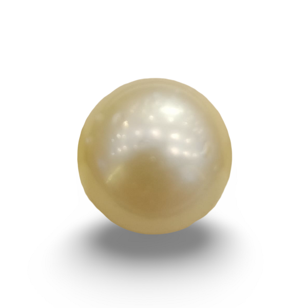 Natural South Sea Pearl (Moti) 13.00 ratti loose gemstone, IGC certified IGCDKBAJ42642
