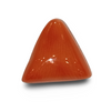 Natural Italian Red Coral | Certified Triangular Cabochon Moonga | Untreated Gemstone IGCDKBAJ42380 image 0